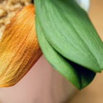 green and yellow orchid leaves